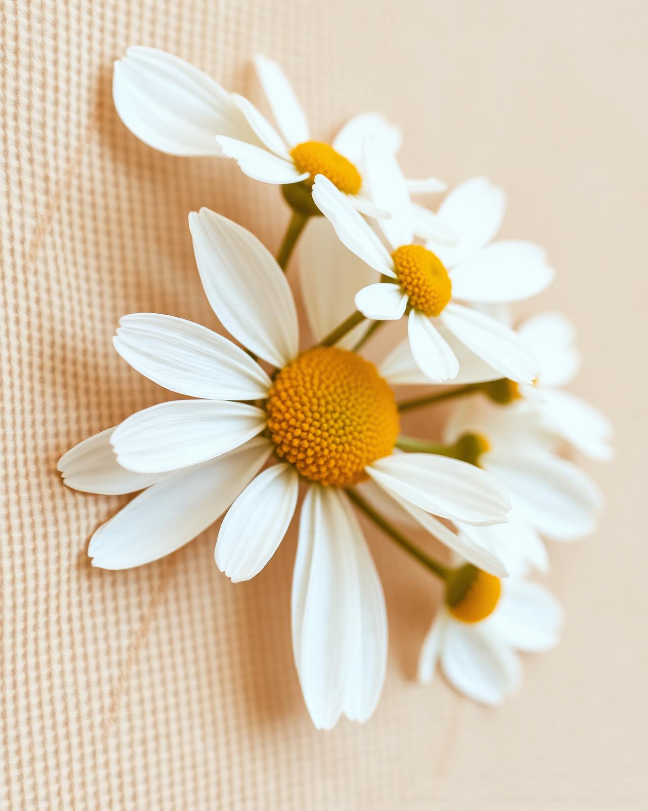 Holistic & Marine Facial